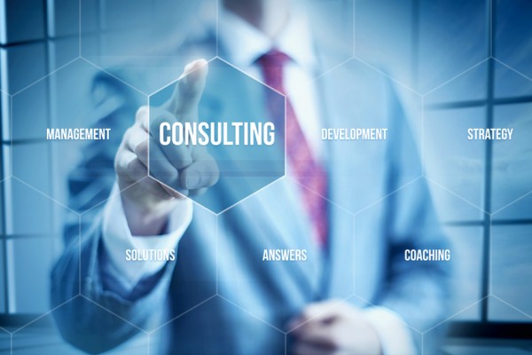 Project Management Consulting